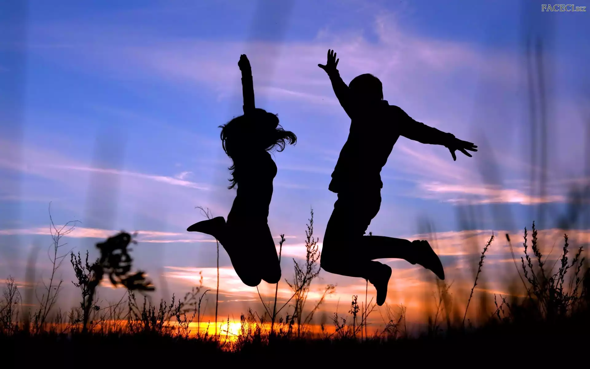 Trawa, Słońca, Cień, Para, Zachód